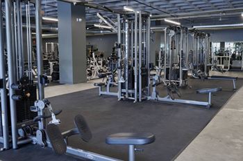 State of art fitness center